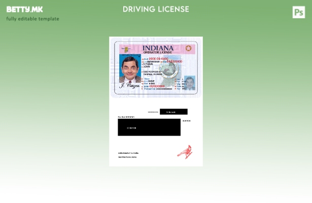 Модерен стил USA Indiana DL шаблон